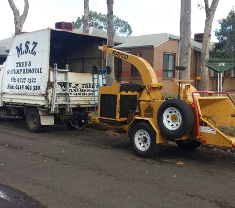MSZ Tree Lopping Service