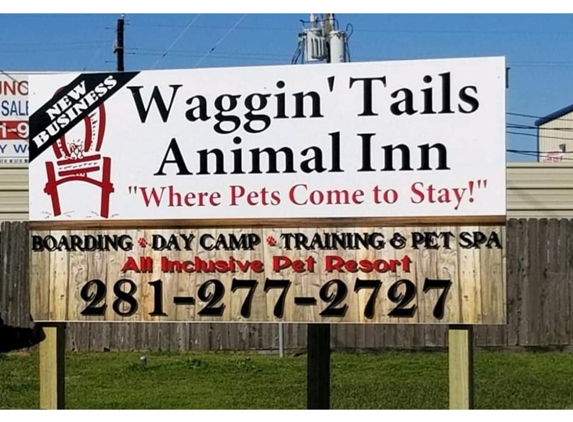 Animal Inn - Richmond, TX