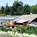 Joe's Garden - Garden Centers