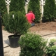 REDBUD LANDSCAPING LLC