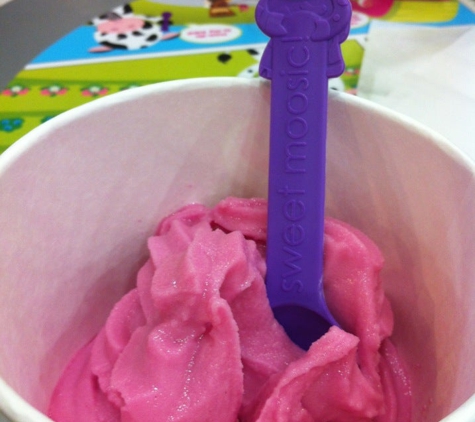 Menchie's Frozen Yogurt - Atlanta, GA