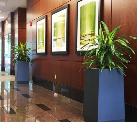 Tropical Creations Inc - Charlotte, NC. Corporate Lobby