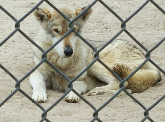 Emerald Coast Wildlife Refuge Zoological Park - Crestview, FL