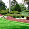 Scheetz Tree Service and Landscaping gallery