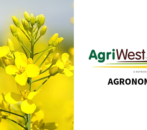 AgriWest Rural Pty Ltd - Parkes, NSW. Agronomy