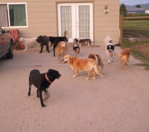 Beaded Bassett - Stevensville, MT