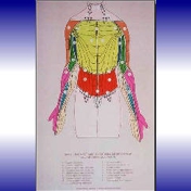Gallery Image Number 7