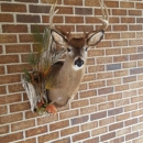 Quentin Taxidermy - Taxidermists