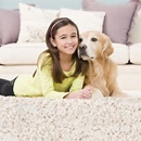 West Coast Carpet Care IN Los Angeles - Carpet & Rug Cleaners-Water Extraction