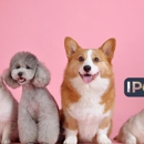 Isanti Pet Clinic - Veterinarians