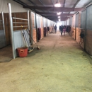 Reno Tahoe Equestrian Centre - Horse Training