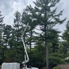 The Tree Guy Services LLC