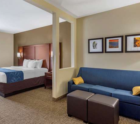 Comfort Suites - Goodlettsville, TN