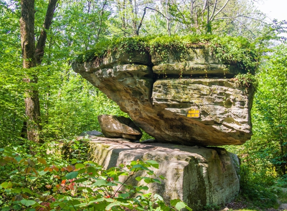 Rock City Park - Olean, NY