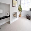 CM2 Carpet Care gallery