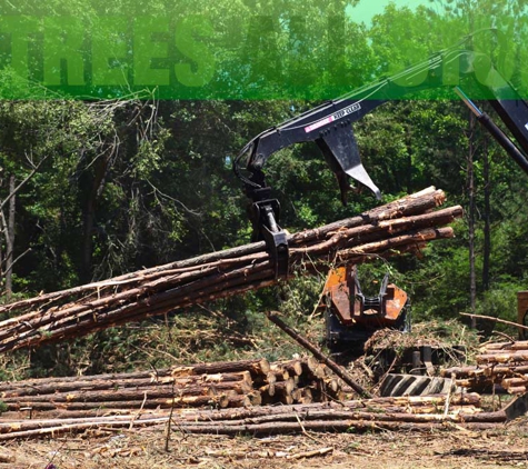 All Trees All Stumps - Worrolong, SA