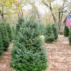 Kelumac Christmas Tree Farm Bed and Breakfast