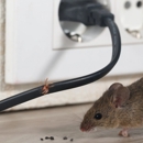 RS Pest - Pest Control Services