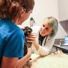 5280 Veterinary Care