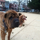 Friends-Columbia Heights Dog Park