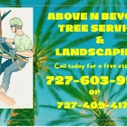ABOVE & BEYOND TREE SERVICE