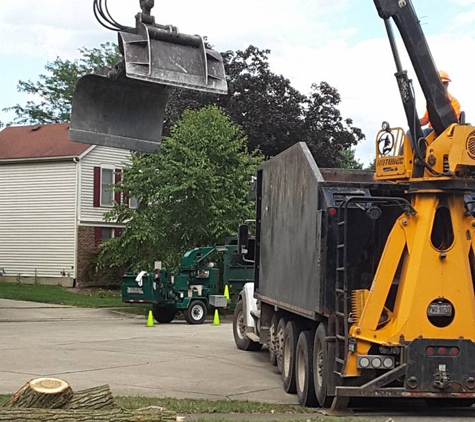 Arborist Care Tree Service - Columbus, OH