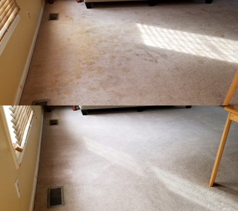 Carpet Cleaning Made Simple - Bel Alton, MD