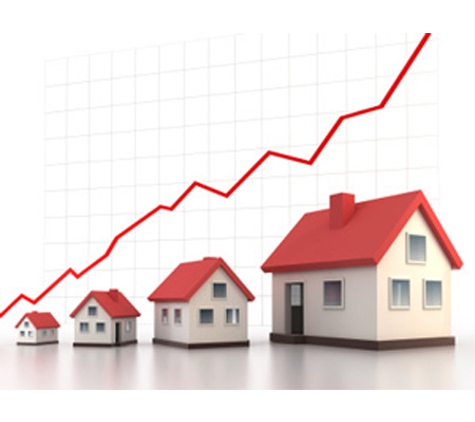 Australian Mortgage Options-AMO