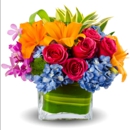 Raimondi’s Florist - Florists