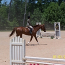 Blue Ridge Equestrian Farm - Horse Training