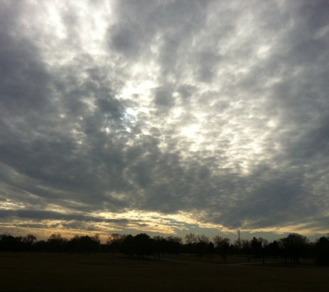 Mount Carmel Cemetery - Hillside, IL