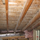 Mold Inspection & Testing Charlotte NC - Mold Remediation