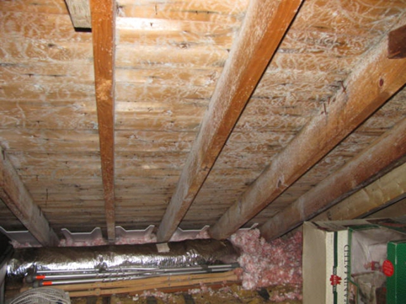 Mold Inspection & Testing Cleveland OH - Cleveland, OH