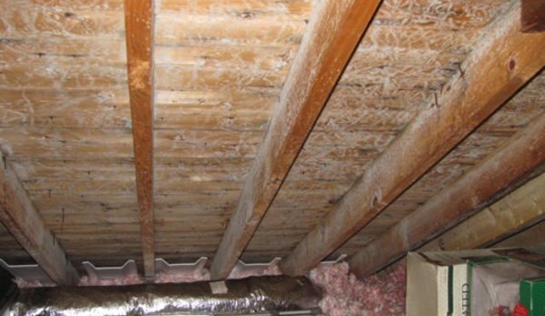 Mold Inspection & Testing Oklahoma City OK - Oklahoma City, OK