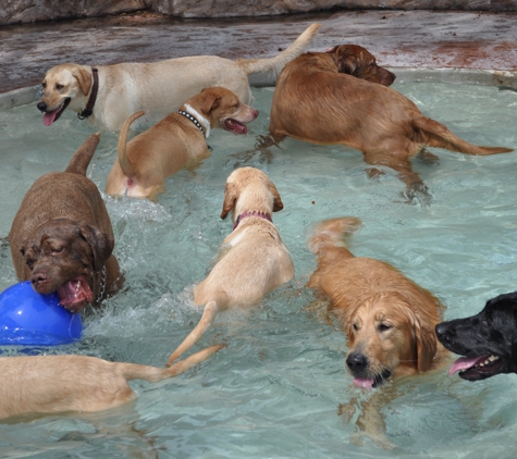 The Barkers Pet Center - Fort Lauderdale, FL