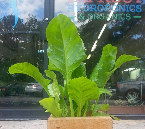 Taproot Hydroponics - Smyrna, Ga, GA