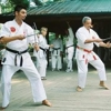 Classical Martial Arts Academy gallery