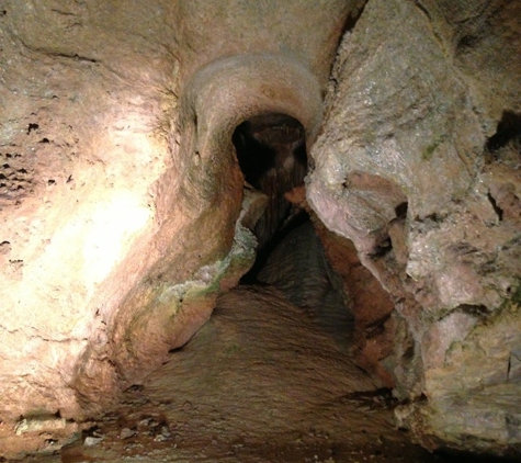Forbidden Caverns - Sevierville, TN
