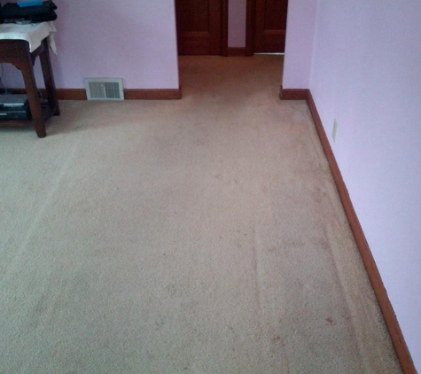 Dolan's Deluxe Carpet Cleaning - Saint Paul, MN