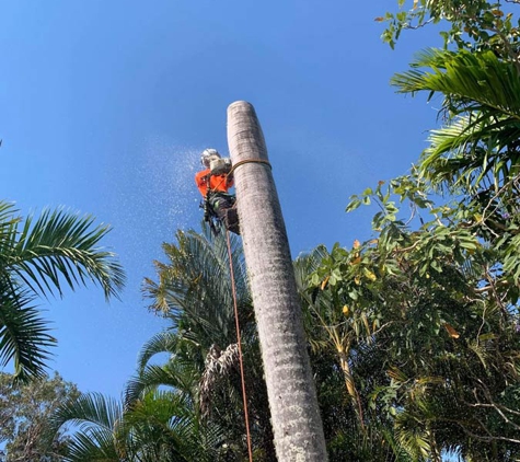 Speedline Tree Surgery