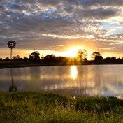 Gallery Image Number 5