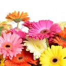 Enchanting Blossoms - Florists