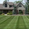 Wise Choice Lawn Care & Landscaping gallery