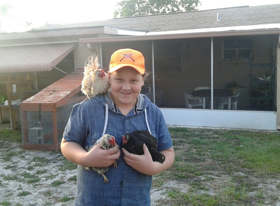 Shady Hills Pet Shop - Spring Hill, FL. Drew and his baby's