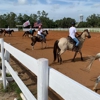 Circle F Dude Ranch Camp gallery