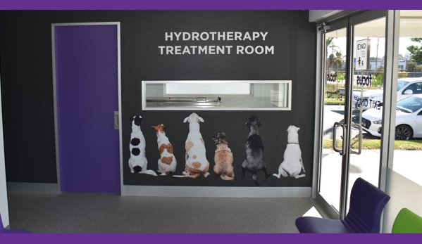 PetFocus Vetcare - Lavington, NSW. Hydrotherapy Treatment Room