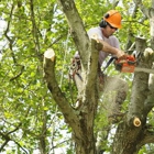 Green's Tree Service