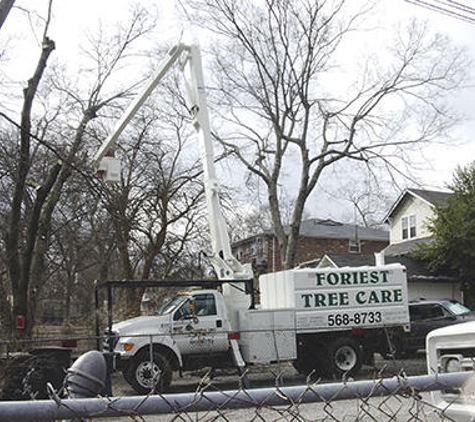 Foriest Tree Care