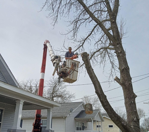 A J Tree Services - Anna, IL