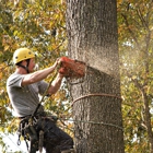 Jaime's Tree Service